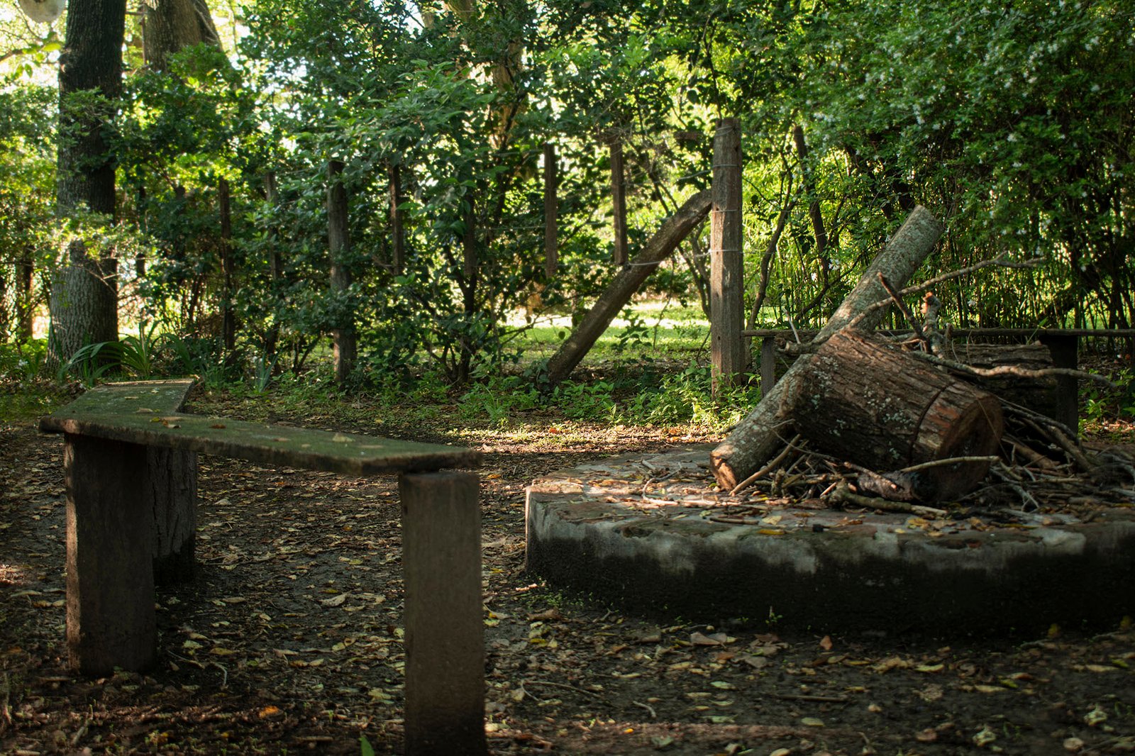 Jardines