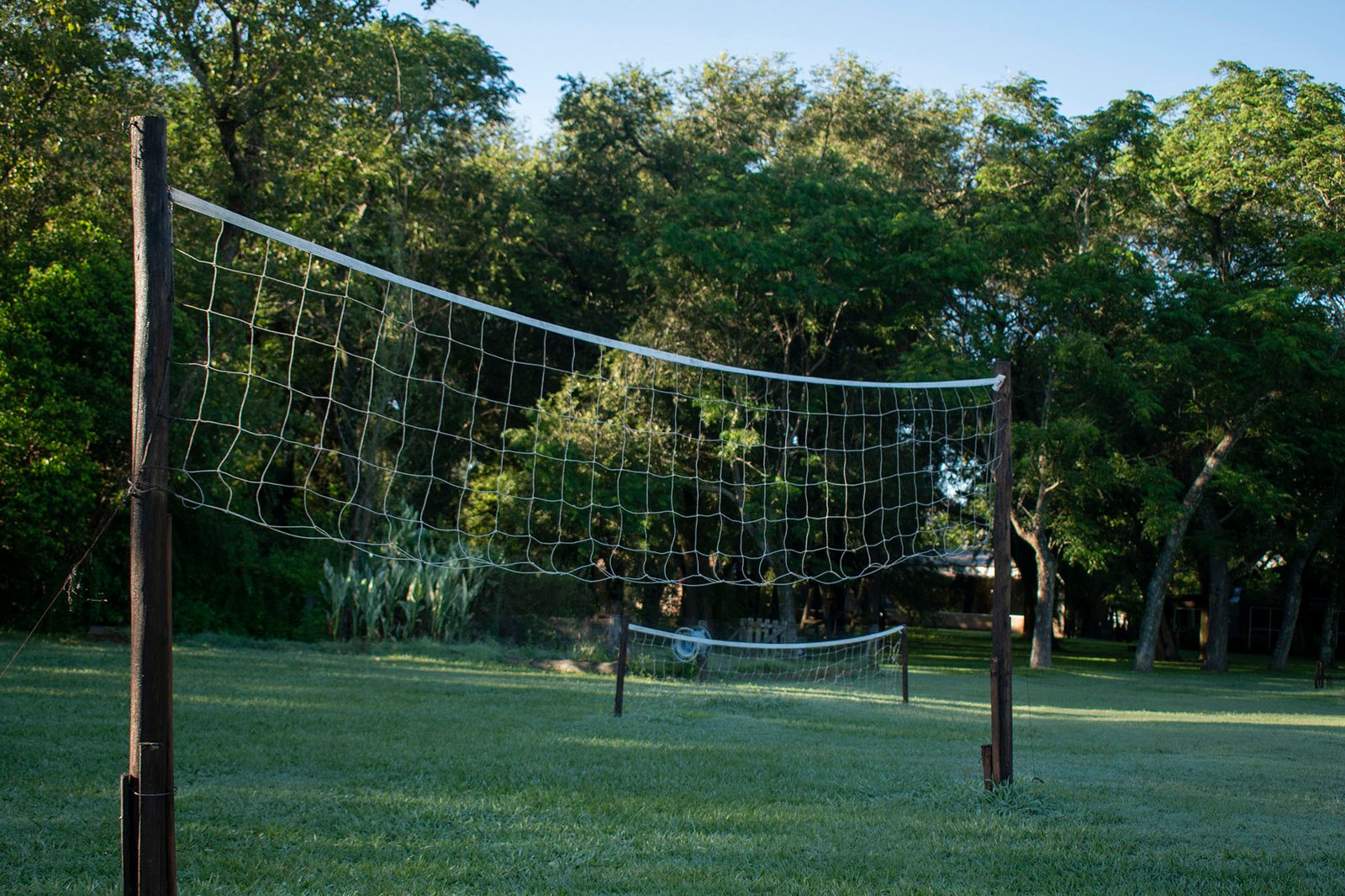 Verde y naturaleza